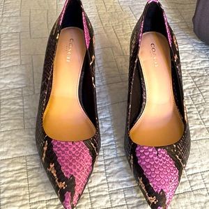 Coach Multicolored Snakeskin Shoes.